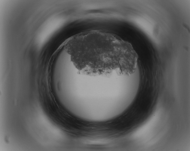 X0000097751438200803070832