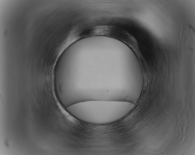 X0000097751439200803070832