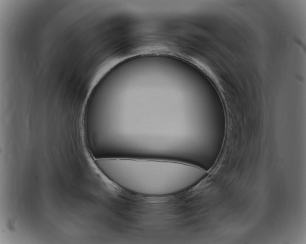 X0000097751440200803070832