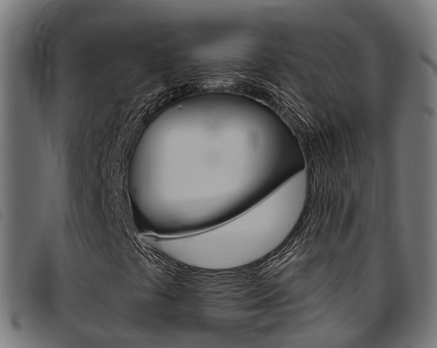 X0000097751441200803070831