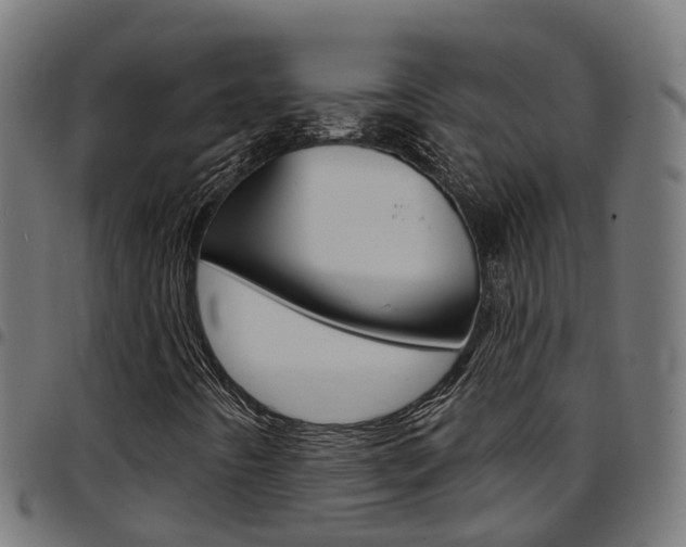 X0000097751442200803070831