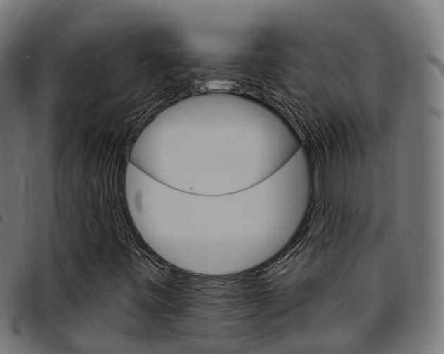X0000097751443200803070831