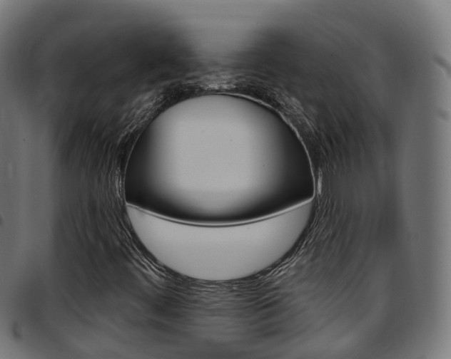 X0000097751444200803070831