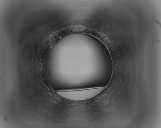 X0000097751445200803070831