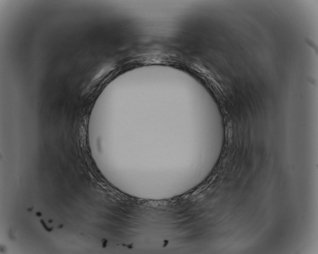 X0000097751446200803070831
