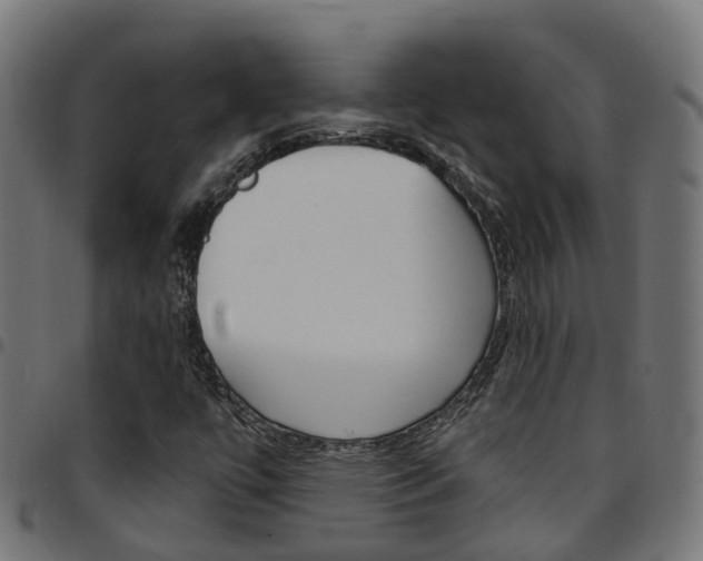 X0000097751447200803070831
