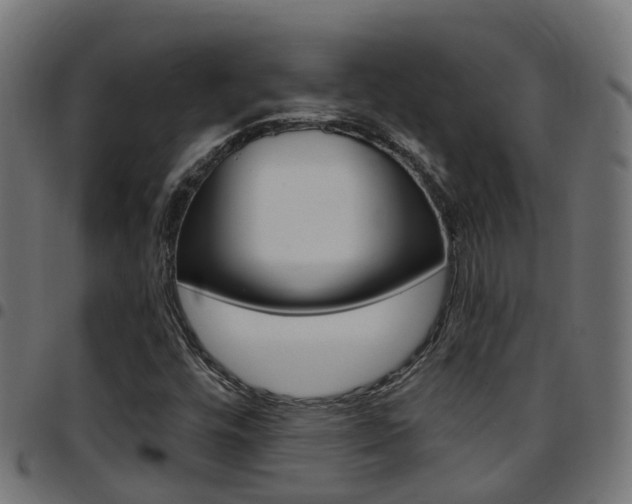X0000097751448200803070831