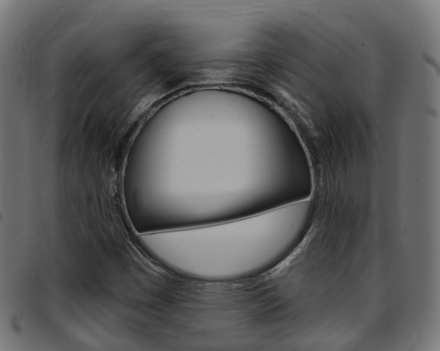 X0000097751449200803070831