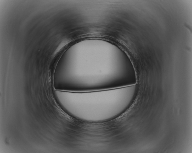 X0000097751450200803070831