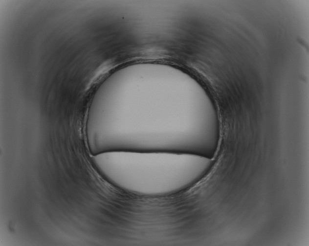 X0000097751451200803070831