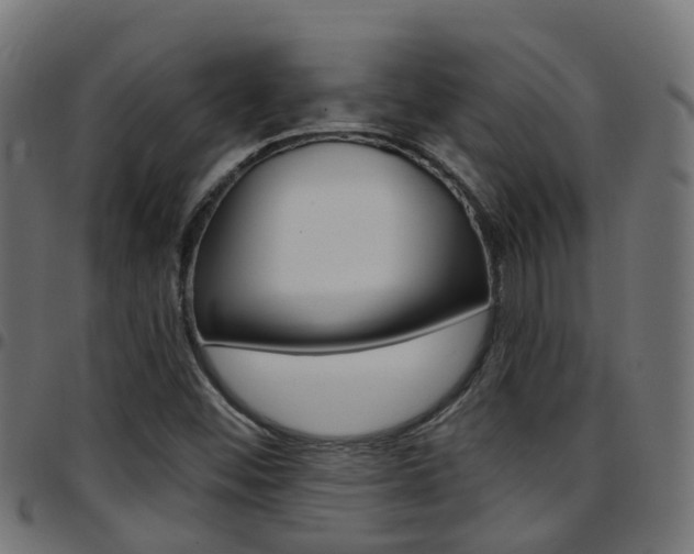 X0000097751452200803070831