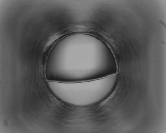 X0000097751453200803070831