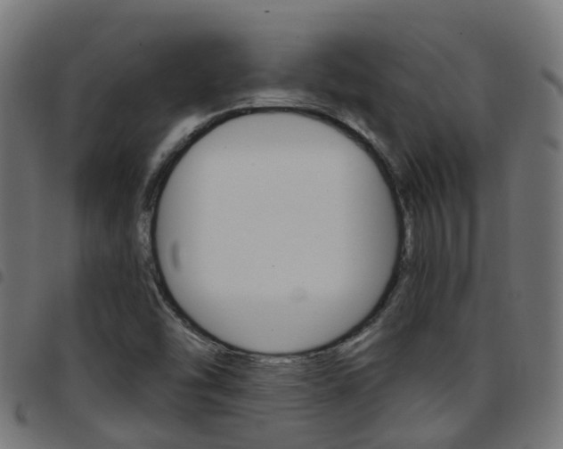 X0000097751454200803070831