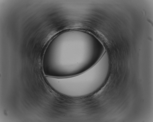 X0000097751457200803070831