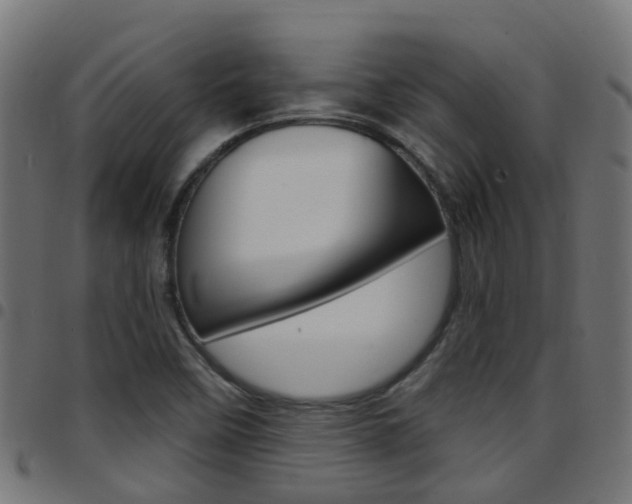 X0000097751458200803070831