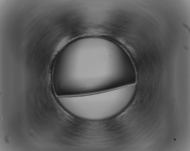 X0000097751459200803070831
