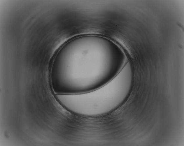 X0000097751460200803070831