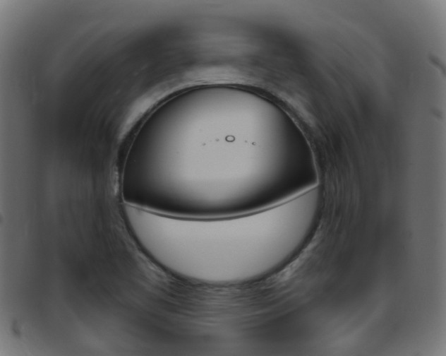 X0000097751461200803070831
