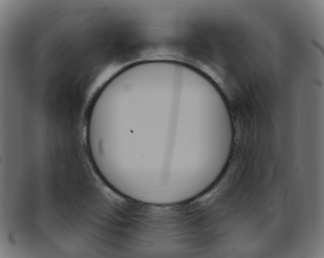 X0000097751462200803070831