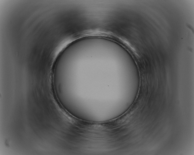 X0000097751463200803070831