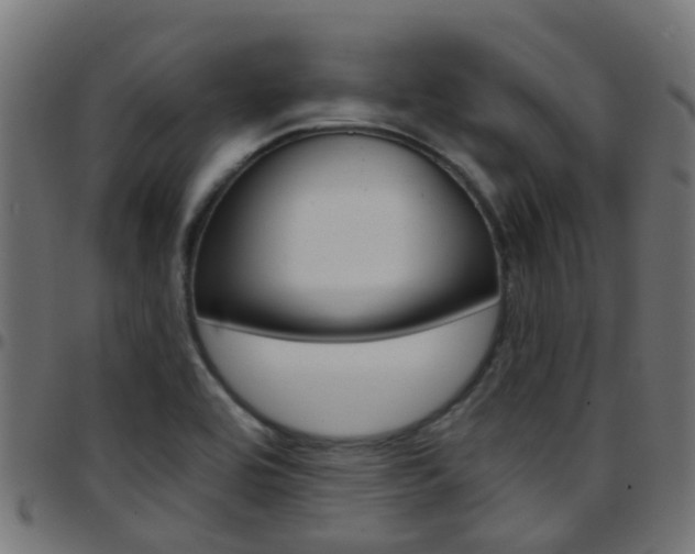 X0000097751464200803070831