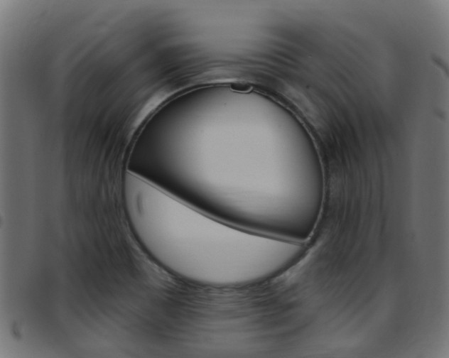 X0000097751465200803070831