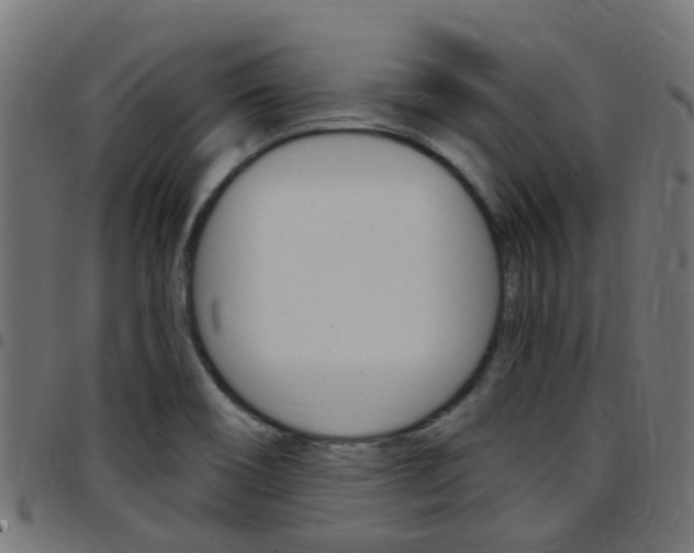 X0000097751466200803070831