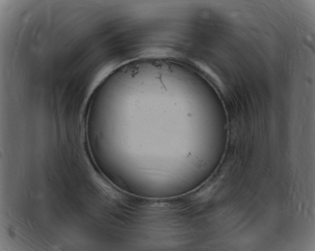 X0000097751467200803070831