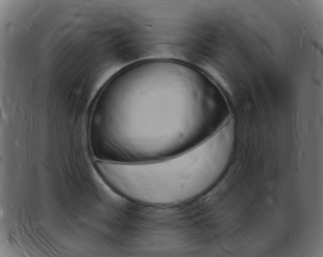 X0000097751468200803070831