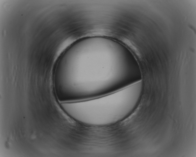 X0000097751469200803070831