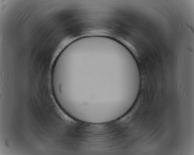 X0000097751470200803070831