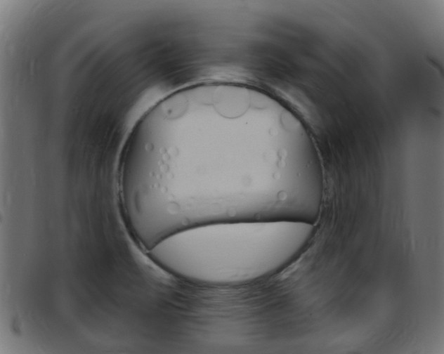X0000097751471200803070831