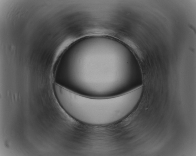 X0000097751472200803070831