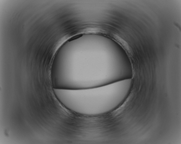 X0000097751473200803070831