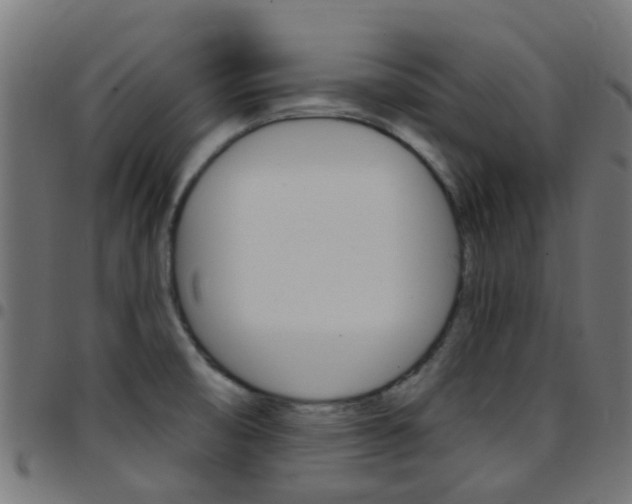 X0000097751474200803070830