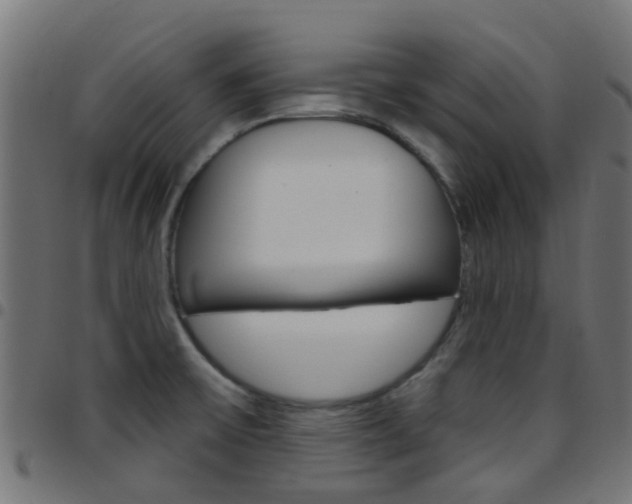 X0000097751475200803070830