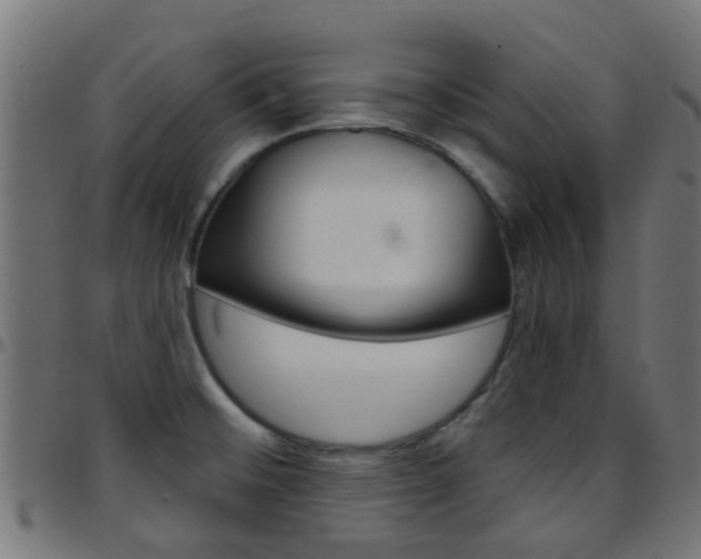 X0000097751476200803070830