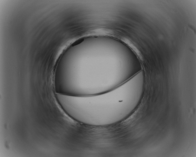 X0000097751477200803070830