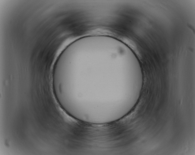 X0000097751478200803070830