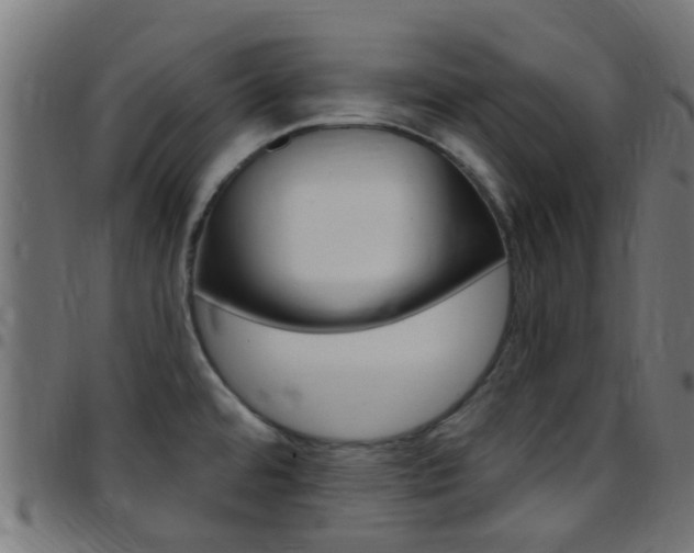X0000097751480200803070830