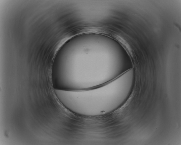 X0000097751481200803070830