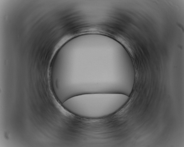 X0000097751482200803070830