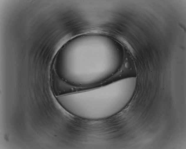 X0000097751483200803070830