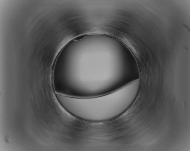 X0000097751484200803070830