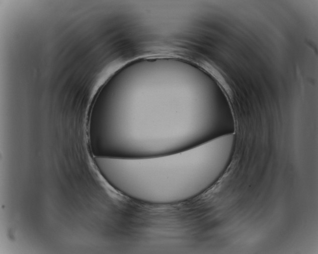 X0000097751485200803070830