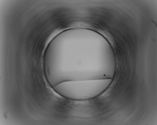 X0000097751486200803070830