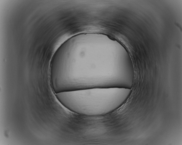 X0000097751487200803070830