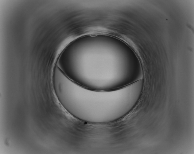 X0000097751488200803070830