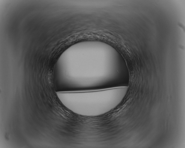 X0000097751490200803070830
