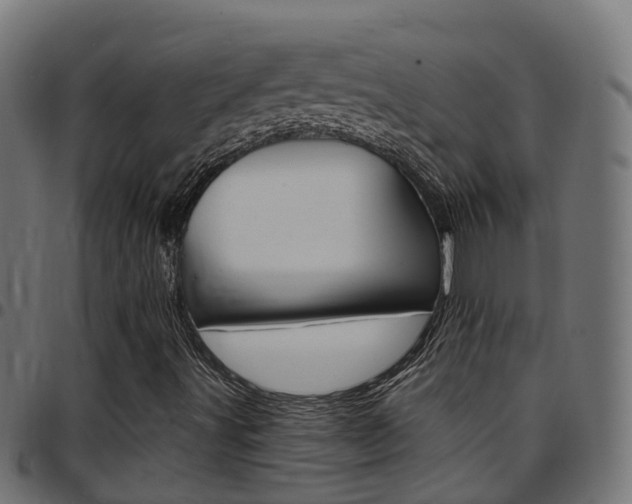 X0000097751491200803070830